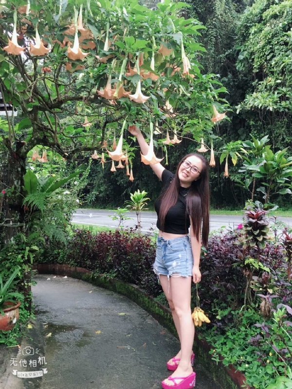 离异单身无子的第二张照片--唐山相亲服务中心