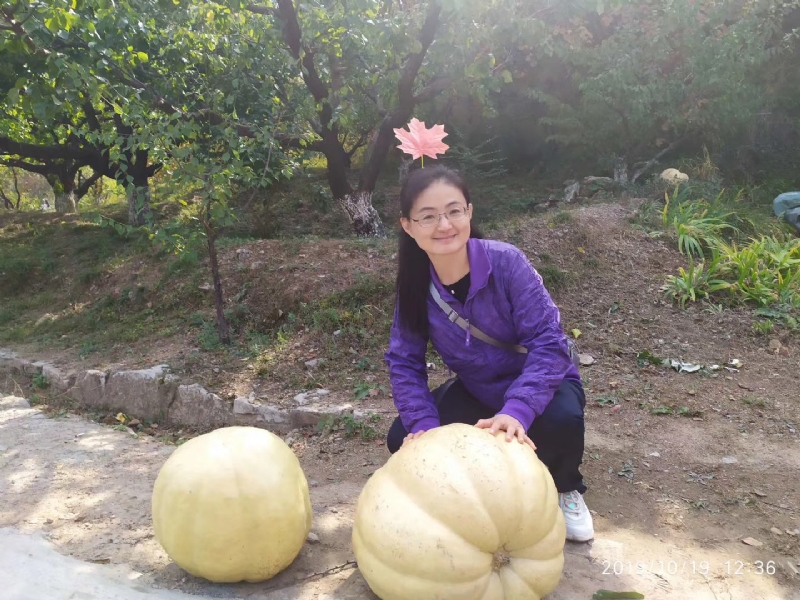 海绵宝宝的第一张照片--唐山相亲服务中心