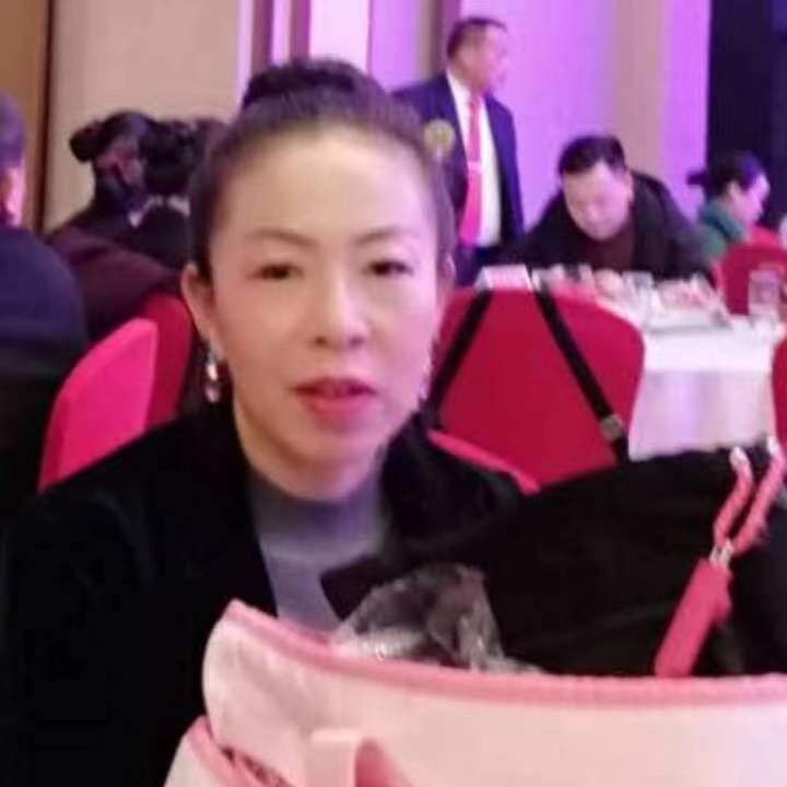 中秋桂花玉兔的第四张照片--唐山相亲服务中心