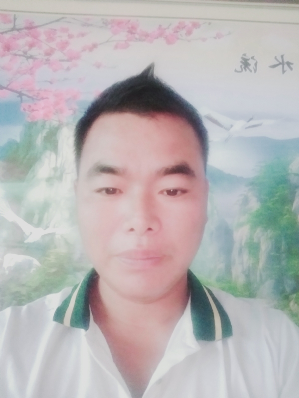 阳光男孩的第二张照片--唐山相亲服务中心